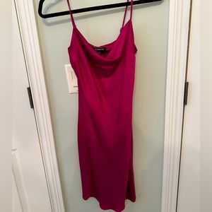 Express Silk Dress